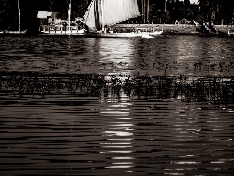A felucca on the Nile at Aswan in the late afternoon